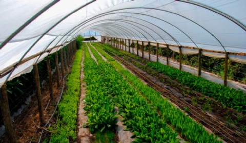 Lanzan un amplio programa de capacitación en buenas prácticas agrícolas para productores del Cordón Florifrutihortícola