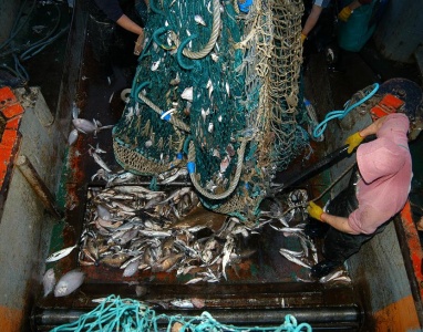Un piquete sindical podría complicar el abastecimiento de pescado en Mar del Plata