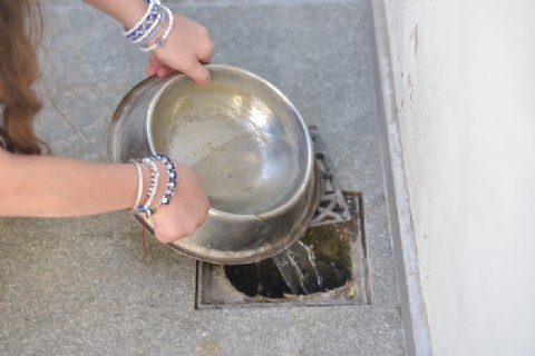 VIDEO | Tras las últimas lluvias, solicitan reforzar el descacharrado domiciliario para prevenir el dengue