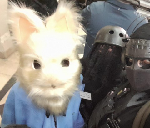 Renata Villarreal, la joven platense que inventó un gaucho furry y causa sorpresa en el mundo del cosplay