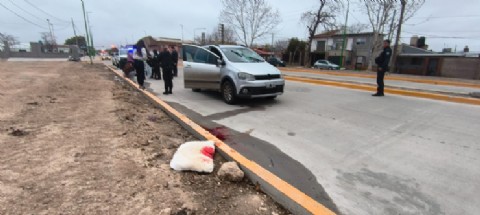 Una mujer de Berisso chocó en auto con un ciclista y lo mató