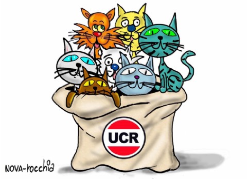 La UCR en crisis: pérdida de bancas, autocrítica y un futuro incierto