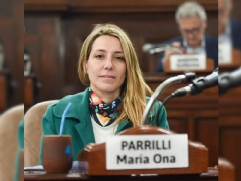 "Pan y circo, sin mirar lo que le pasa a la gente": la concejal Parrilli opinó sobre la presentación de Adorni