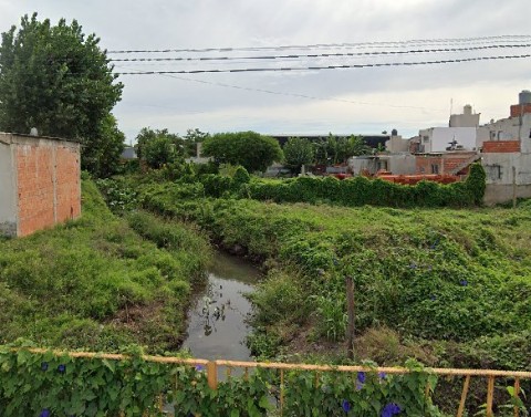 Los Hornos: vecinos del Arroyo Regimiento reclaman desratización urgente ante la proliferación de ratas