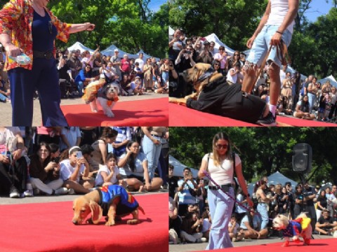Gran desfile de mascotas: cuándo, dónde es y qué se podrá hacer