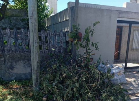 Falta de luminarias y basura acumulándose: ESUR y la Delegación llevan a un barrio al borde del abandono