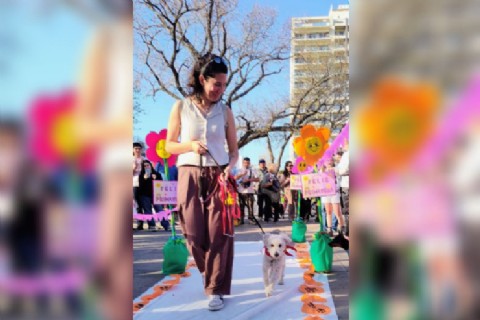 Son un grupo de mujeres, crearon una feria solidaria en Plaza Belgrano que hoy es tendencia en La Plata