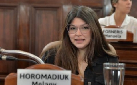 Iniciativa contra la inseguridad: concejal propone incorporar las cámaras privadas al COM