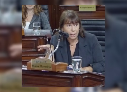 Las "salitas" de primeros auxilios en la mira de la oposición