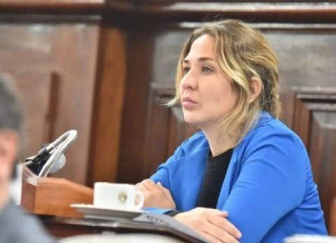 El peronismo mostró su preocupación por la posición de Argentina ante el conflicto en Medio Oriente