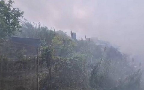 El riesgo del humo tóxico en el sudeste platense: los vecinos alertan sobre su inhalación