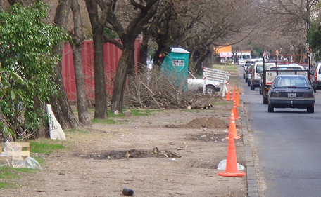 Comenzó la tala de árboles para reducir las ramblas en Avenida 60