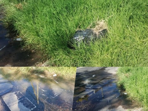 Denuncian abandono y riesgo en la esquina de 8 y 76 frente a la ENET Nº 5 Manuel Savio