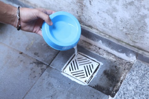 VIDEO | Tras las últimas lluvias, solicitan reforzar el descacharrado en los hogares para prevenir el dengue