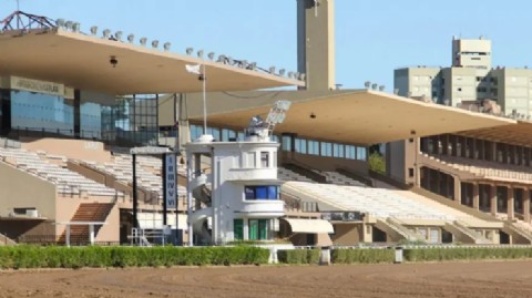 VIDEO | El Hipódromo quedó atrapado entre acomodos políticos, padrinazgos y denuncias internas