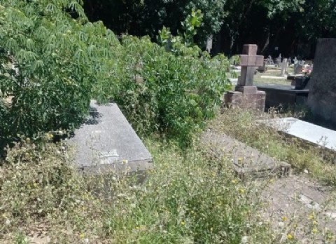Pasto alto y un abandono evidente: una vecina cuestionó el estado del Cementerio