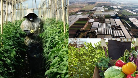 Productores frutihortícolas convocan a una jornada en defensa del INTA en Plaza Malvinas