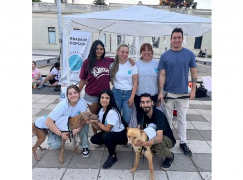 Empezaron con un perrito y hoy Rescatistas La Plata ya ayudó a más de 500 animales