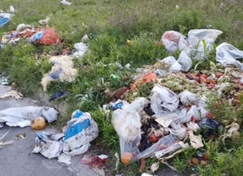 Vecinos de Villa Elvira denuncian basurales crónicos y abandono en la zona de 79 y 118