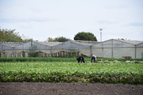 El municipio finalizó el Relevamiento Florihortícola Platense 2025