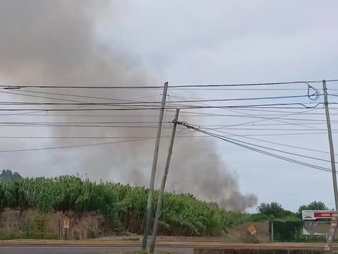 Un nuevo incendio en un cañaveral de Villa Elvira generó pánico en casas vecinas