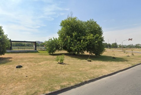 Rancheada de indigentes en la zona del Policlínico San Martín