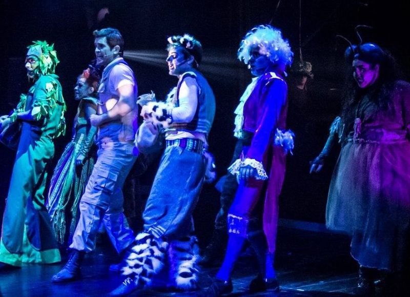 Cuentos de la Selva: por un corte de luz se suspendió la función del miércoles