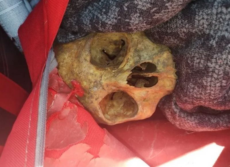 Ensenada: así cayó un pai umbanda mientras trasladaba un cráneo