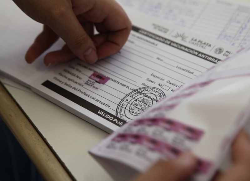 Vecinos de Ringuelet podrán vacunar y castrar animales de forma gratuita y segura