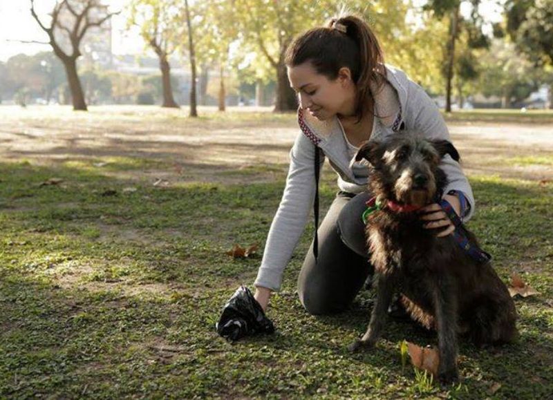 Vecino se queja de aquellos que sacan a sus perros  y no llevan bolsa para levantar las heces