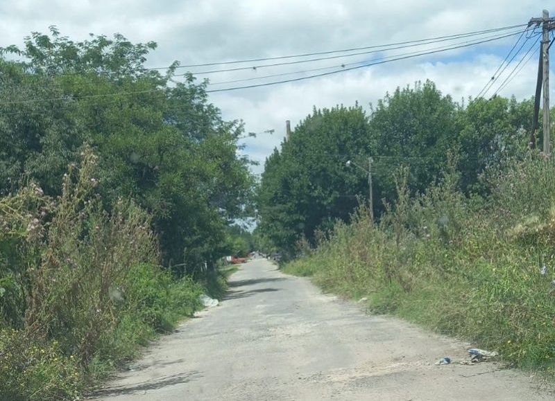 Reclamos de distintos puntos de Villa Elvira por el corte de pasto