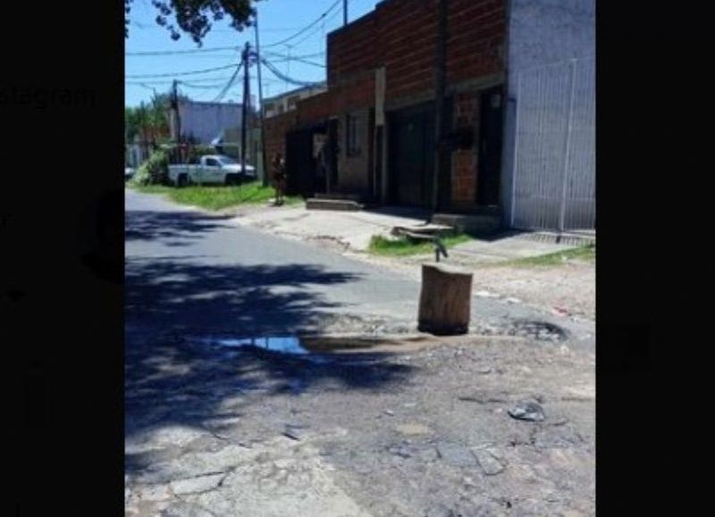 Nuevo barrio como en Mardel: Villa Elvira tiene "Los troncos"