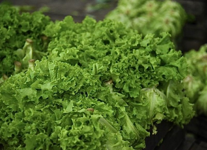 Conocé los nuevos precios y descuentos en el Mercado Regional Minorista de la ciudad