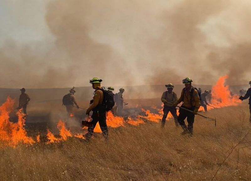 Abasto: incendio de campo en inmediaciones de Ruta 2 movilizó a bomberos y fuerzas policiales