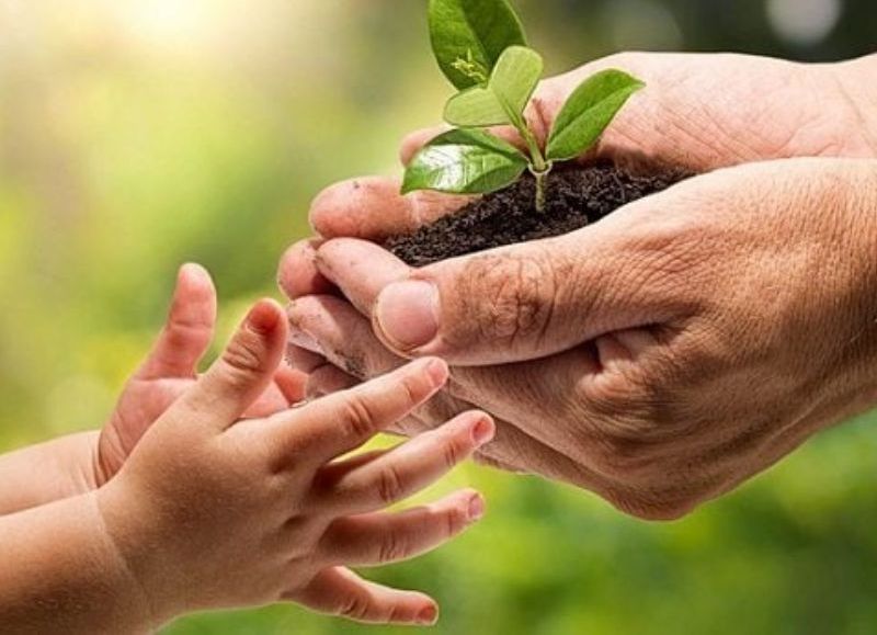 ODS y cuidado ambiental en La Plata: hacia una ciudad más consciente y sustentable