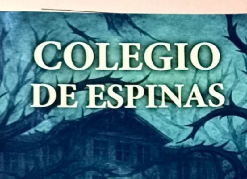 Del dolor al libro: Mía Belastegui, la adolescente platense que convirtió el bullying en “Colegio de Espinas”