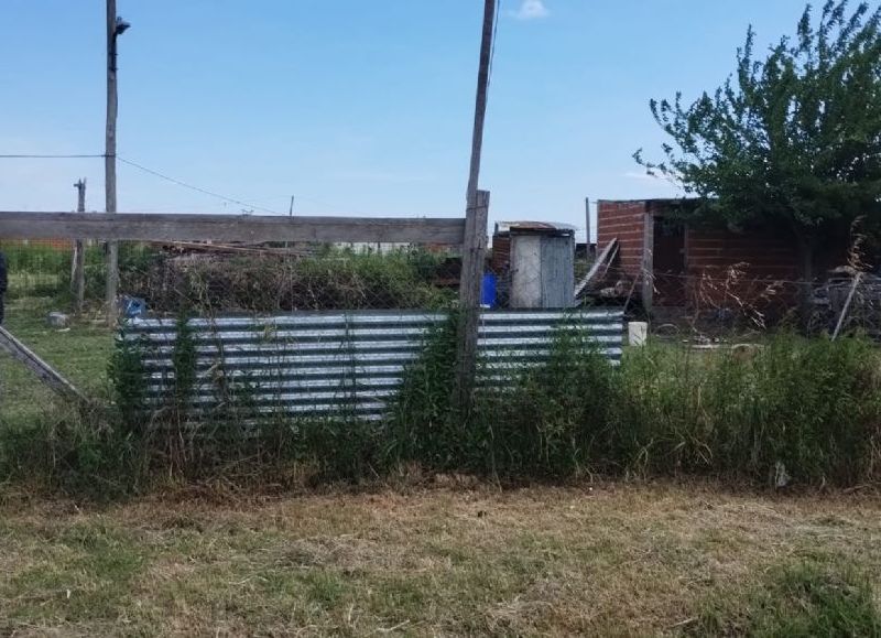 Melchor Romero: un dogo se escapó, atacó a un nene y luego el animal fue hallado ahorcado