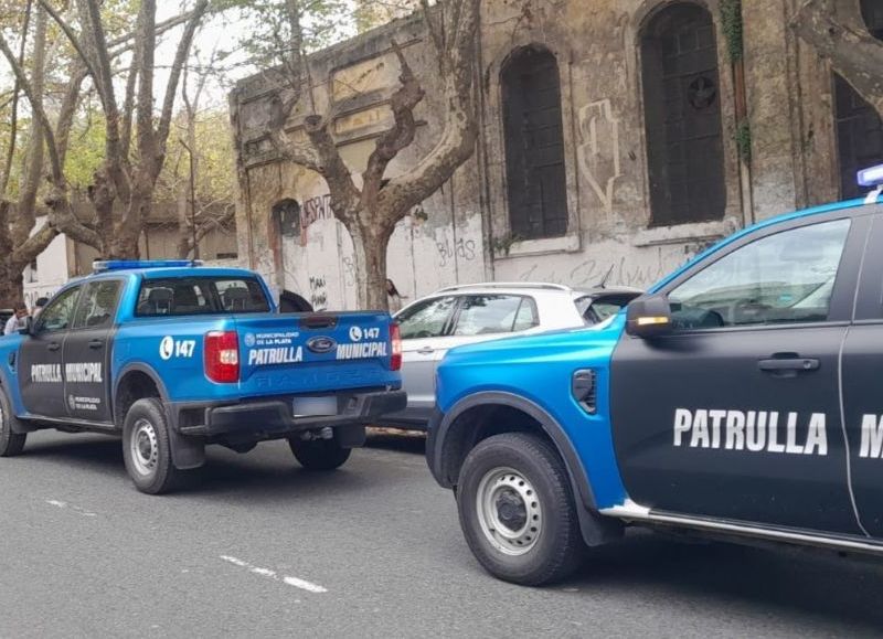 El Municipio refuerza los operativos para erradicar a los “trapitos”