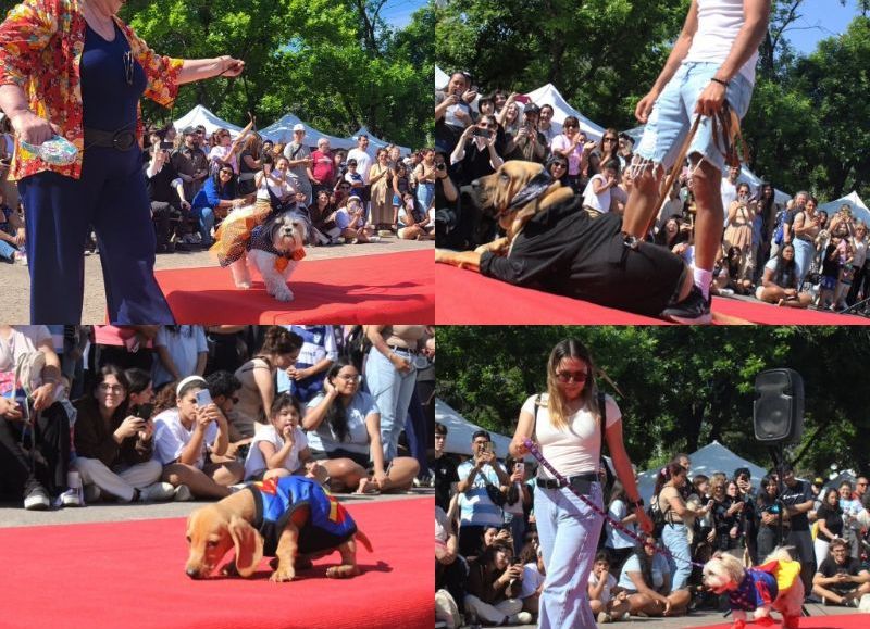 Gran desfile de mascotas: cuándo, dónde es y qué se podrá hacer