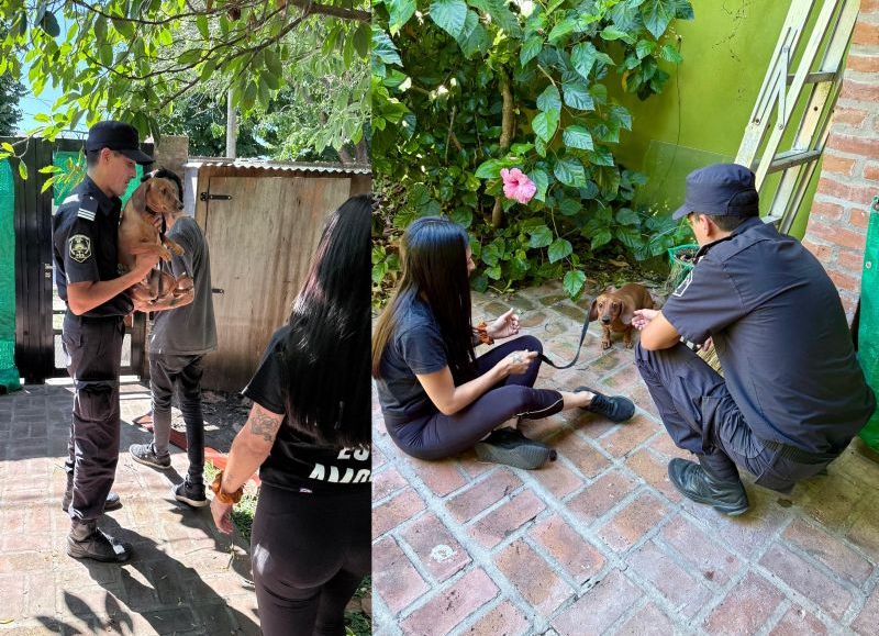 VIDEO | Rescatan a un perro "salchicha" en una vivienda del barrio El Mondongo tras una denuncia por maltrato animal