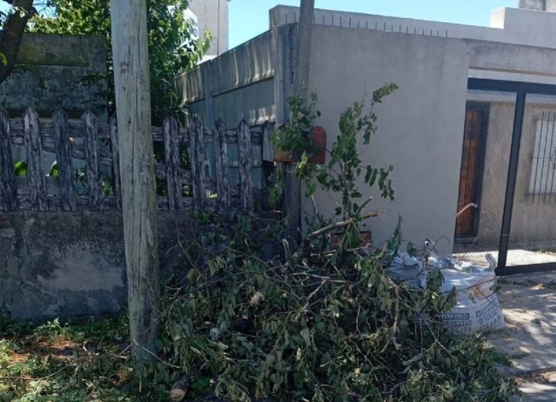 Falta de luminarias y basura acumulándose: ESUR y la Delegación llevan a un barrio al borde del abandono