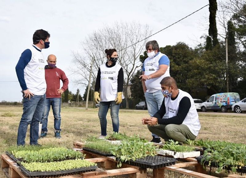 Impulsan la creación de huertas comunitarias en espacios públicos y frentes de viviendas