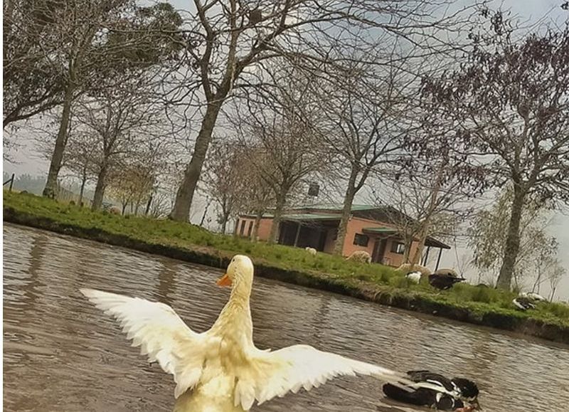 Primer hospedaje agroturístico de Buenos Aires en aceptar bitcoin