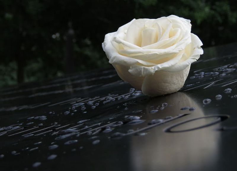 Dolor por la partida de Esteban Grandicelli