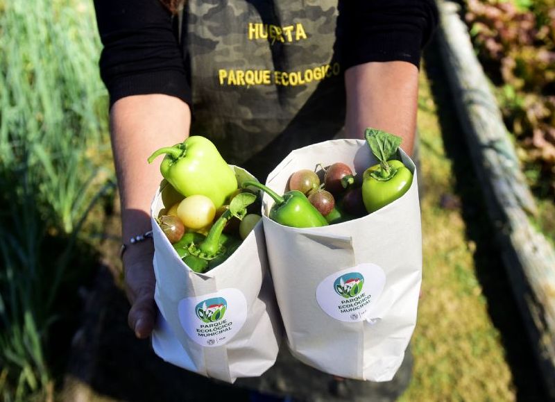 El Parque Ecológico suma nuevas actividades gratuitas para toda la familia
