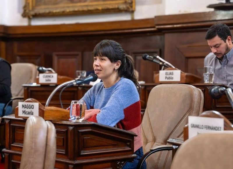 Antes sí, ahora no: mandaron al archivo un pedido de la creación de un CAPS para la zona Oeste