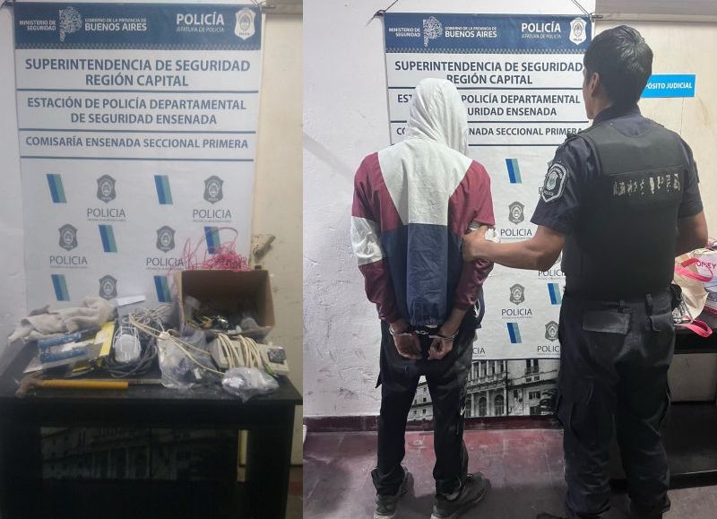 Ladrón atrapado con las manos en la masa: una rata se metió en la construcción y casi la desmantela