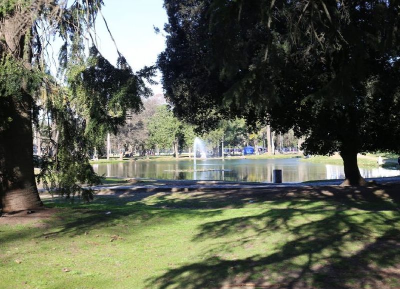 VIDEO | Empezó el plan de reconversión de la venta ilegal en Parque Saavedra