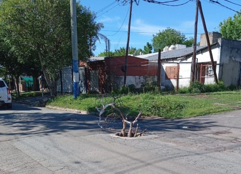Villa Elvira: se robaron la tapa de cloaca de la esquina de 116 y 89 y los vecinos quedan expuestos a accidentes