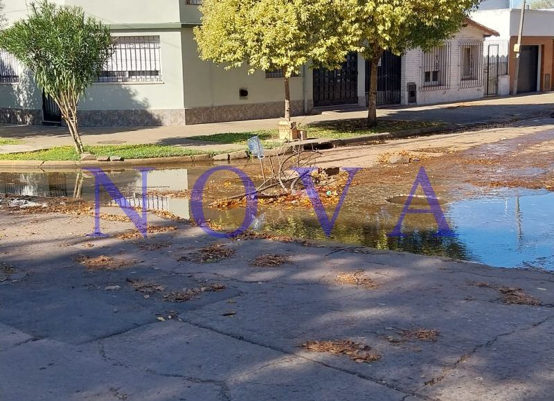 Barrio Hipódromo: reclaman por una pérdida de agua que lleva más de un año